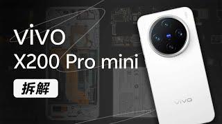 vivo X200 Pro mini 拆解：小屏党的时代要来了～【享拆】- 微机分WekiHome