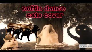 Coffin Dance - Cat Cover - Astronomia Meme #1