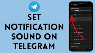 How to Set Notification Sound on Telegram 2024 | Telegram Notification And Sound Setting