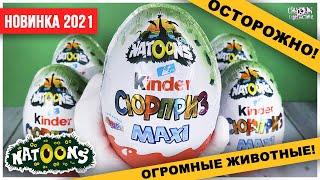 Киндер Natoons MAXI 2021 | Огромные дикие звери | Kinder Натунс Сюрприз