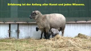 Auserlesene Zitate (Best of...) von Aristoteles + Fotos von Friedrichsthal (Uckermark)
