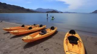 villa del palmar beach resort loreto