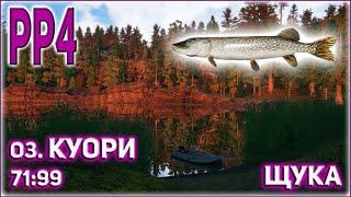 РР4 ОЗЕРО КУОРИ ЩУКА / РУССКАЯ РЫБАЛКА 4 ОЗЕРО КУОРИ ЩУКА / RUSSIAN FISHING 4 KUORI LAKE PIKE