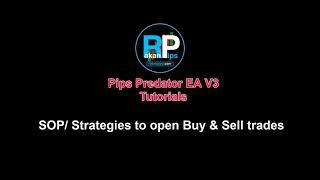 Pips Predator EA V3 Tutorials - How EA opens Buy and Sell Trades