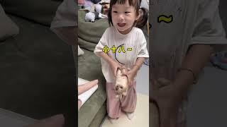 原来爱真的不会消失，用十八毛做了一只十八？#cat #catandbaby #猫 #baby