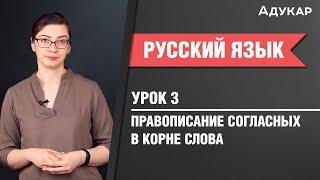 Правописание согласных в корне слова| Русский язык ЦТ, ЕГЭ