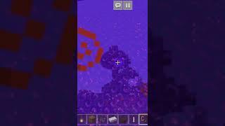 GIANT NETHER PORTAL!!!!