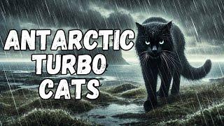 The New Apex Killers: Turbo Evolving Antarctic Ex-House Cats