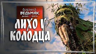 ЛИХО У КОЛОДЦА ️ Ведьмак 3 - Прохождение #3