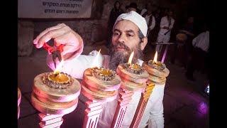 Producing Pure Olive Oil for the Holy Temple Menorah