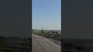 Driving out the city#chisinau #moldova #car #driving #roadtrip #road #fyp #foryou #foryoupage