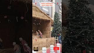 #shorts#youtubeshorts#christmas#happynewyear2022#