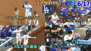大谷さん死球で騒然、本人は笑顔️由伸さんゴンソリンからの飲み物をガン見𐤔パヘス2HR、テオやりたい放題で爆笑