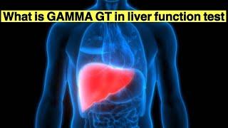 What is (GGT) GAMMA GT in liver function test LFT | What happens if gamma GT is high | high GGT mean