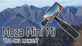 Moza Mini Mi - обзор. Калибровка. Инструкция. Что это такое и с чем ее едят?