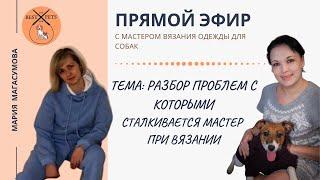 Проблемы и их решение при вязании одежды для собак