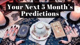 What Should You Expect In The Next 5 Months? COFFEE & TAROT