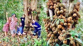 Fruit Hunters Finally Find Rarest Durian In The World!