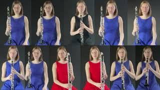 Steve Reich - New York Counterpoint (Katharina Lermen - clarinets)