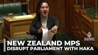 Haka pauses parliament: New Zealand's founding document at centre of protests