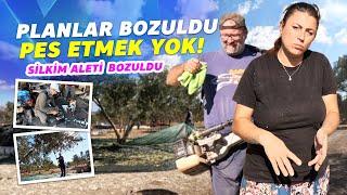 Planlar Bozuldu, Pes Etmek Yok! Zeytin Toplama Macerası İlk Gün