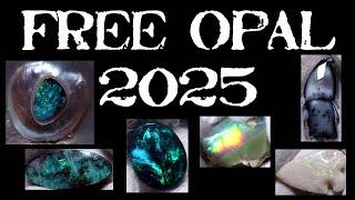 Free Opal Giveaway 2025. What Are Your Plans This Year?