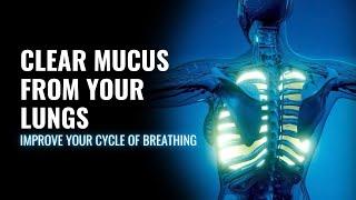 Clear Mucus from Your Lungs | Improve Your Cycle of Breathing | Get More Oxygen in Your Lungs-741Hz