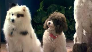 "Stan Rescues His Princess" Sneak Peek | Dog With A Blog