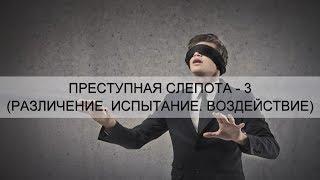 "ПРЕСТУПНАЯ СЛЕПОТА - 3 (РАЗЛИЧЕНИЕ. ИСПЫТАНИЕ. ВОЗДЕЙСТВИЕ)" Андрей Яковишин