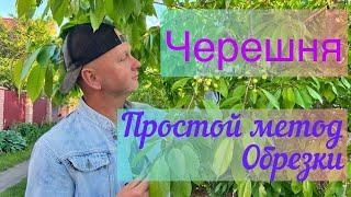 Весення обрезка Черешни.