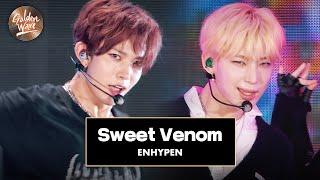 [골든 웨이브] ENHYPEN (엔하이픈) - 'Sweet Venom'  | JTBC 240504 방송