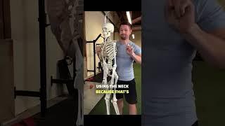 The TRUTH About Forward Head Posture Fixes #posture #posturecorrection #neck #forwardheadposture