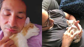 He Didn't Want Cats, Then He Accidentally Fell In Love With Them 