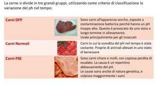 dal muscolo alla carne