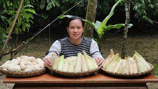 Harvesting Corn Garden Goes To Market Sell - Pet Care - Lý Thị Ca