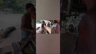 The Best of Tree Cutting #dangerous #carpentry #sawblade #squidgame #cuttingwood #woodworking #saw