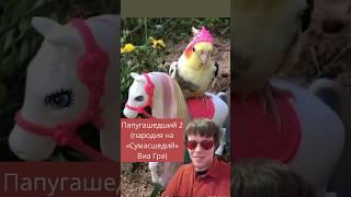 Папугашедший 3 #пародия на Сумасшедший Виа Гра #попугай #прикол #юмор #песня