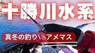 【釣り方解説】十勝川水系で極寒釣り術！VS アメマスに挑戦！最高気温－4℃極寒の中、スプーン(BUX)でも出せる！