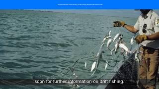 Boynton Beach Drift Fishing | Drift Fishing Boynton Beach Florida