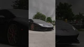 WATCH TILL THE END!