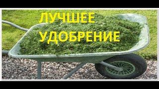 #удобрение #подкормка ЛУЧШЕЕ УДОБРЕНИЕ ВСЕХ ВРЕМЕН.ЧАЙ ИЗ ТРАВ ,ЛУЧШЕЕ НАТУРАЛЬНОЕ УДОБРЕНИЕ В МИРЕ