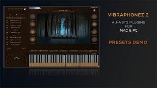 #RDGAudio #Vibraphonez 2 AU VST3 Plugins #Presets Demo