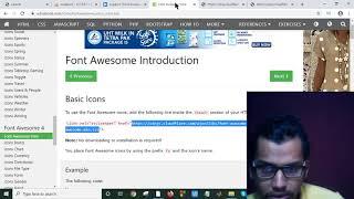 How to Use Font Awesome Icons offline using CDN