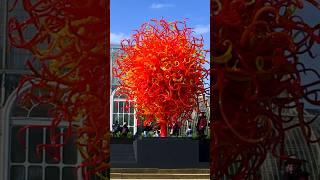 Chihuly at Kew: Reflections on nature | Part 5 #shorts #art #glass