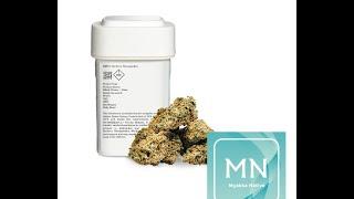 Surterra Wellness Dispensary - Summerfield, FL - Soar - Myakka Native - 3.5 grams