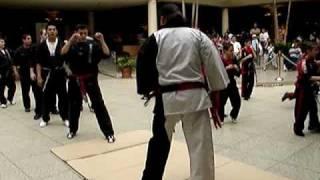 Dragon Kim's Karate USA Woodbridge demo warmup May 2005