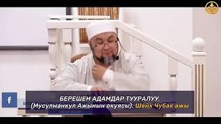 Берешен адамдар тууралуу