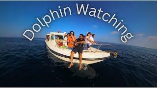 Dolphin Watching Muscat | Boat Journey | Oman | @insta360 Close Encounters & Stunning Views!