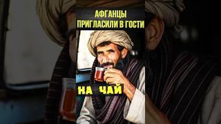 Предложение от которого нельзя отказаться ТГ РЕТРИП  #афганистан #путешествие