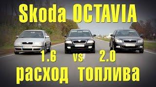 Skoda Octavia A5 1.6 vs 2.0 расход топлива, тест-драйв